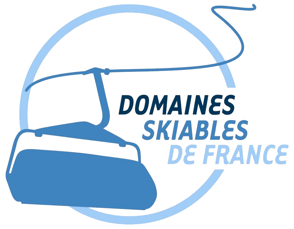 logo DSF